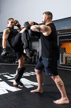 STING MMA SHIN & INSTEP PADS PYTHON