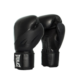 EVERLAST EX BOXING GLOVE 10OZ