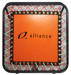 ALLIANCE REBOUNDER DOUBLE SIDED