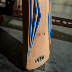 GRAY NICHOLLS VOLT STRIKE CRICKET BAT SH