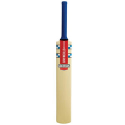 GRAY NICOLLS COLOSSUS CRICKET BAT
