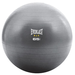 EVERLAST CRE STRENGTH 65CM BALL