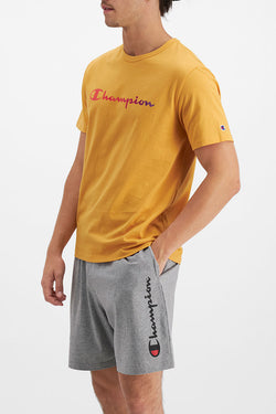 CHAMPION OMBRE SCRIPT TEE
